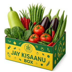 Vegetable Box